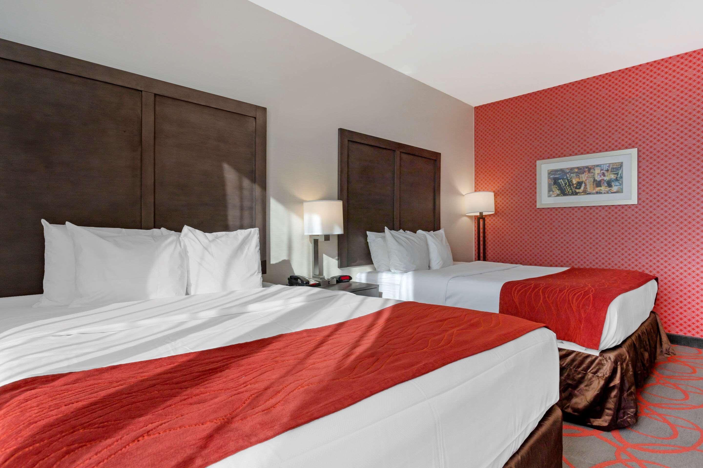 Comfort Inn & Suites Near Stadium New York Eksteriør billede